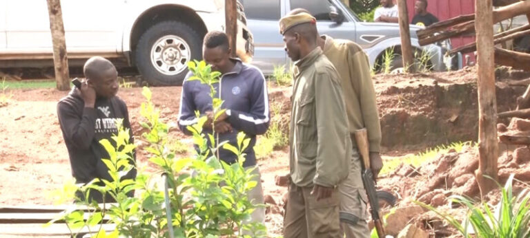 48 prisioneiros evadiram-se na cadeia de Gondola em Manica